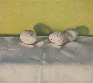 Three Bird Eggs